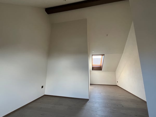 Altbaucharme trifft auf Neubau: ERSTVERMIETUNG 4.5 Zimmer-Wohnung 14