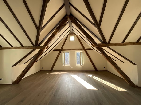 Altbaucharme trifft auf Neubau: ERSTVERMIETUNG 4.5 Zimmer-Wohnung 2
