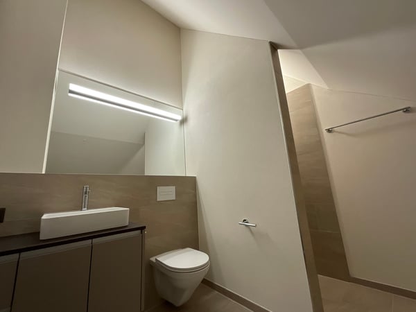 Altbaucharme trifft auf Neubau: ERSTVERMIETUNG 4.5 Zimmer-Wohnung 19