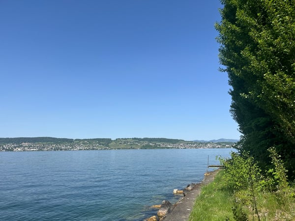 Einmalige Gelegenheit - Wohnen auf der Giessen-Halbinsel in Wädenswil 9