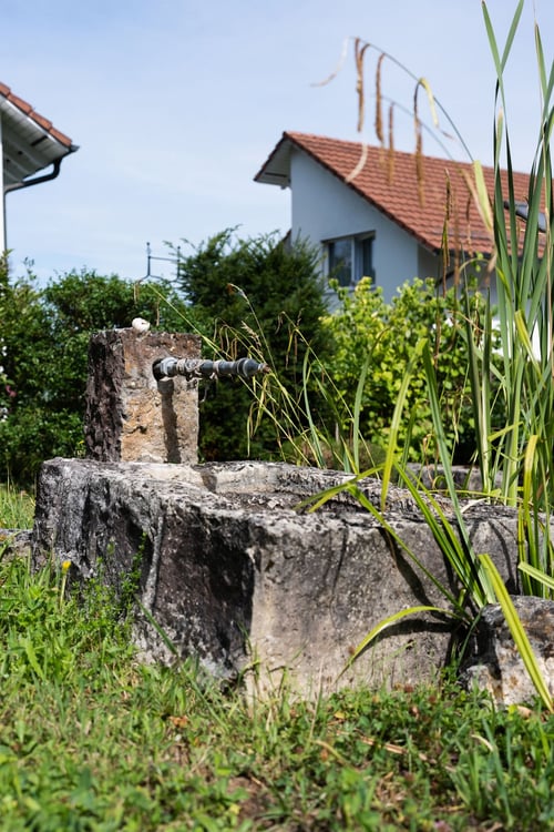 Gartenidylle über Regensdorf – Ihr neues Zuhause für die ganze Familie 25