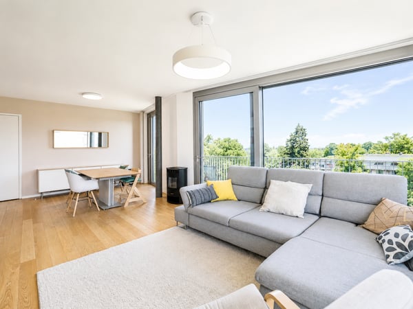 À VENDRE 4.5 PCS EN ATTIQUE AU GRAND-LANCY 2