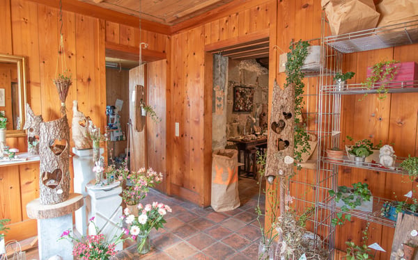Stöckli mit Laden, Wohnung und Ausbaumöglichkeit 7