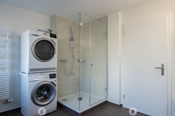 Sanierte Wohnung mit grosser Terrasse zu vermieten 5