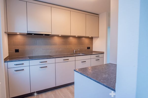 Sanierte Wohnung mit grosser Terrasse zu vermieten 1