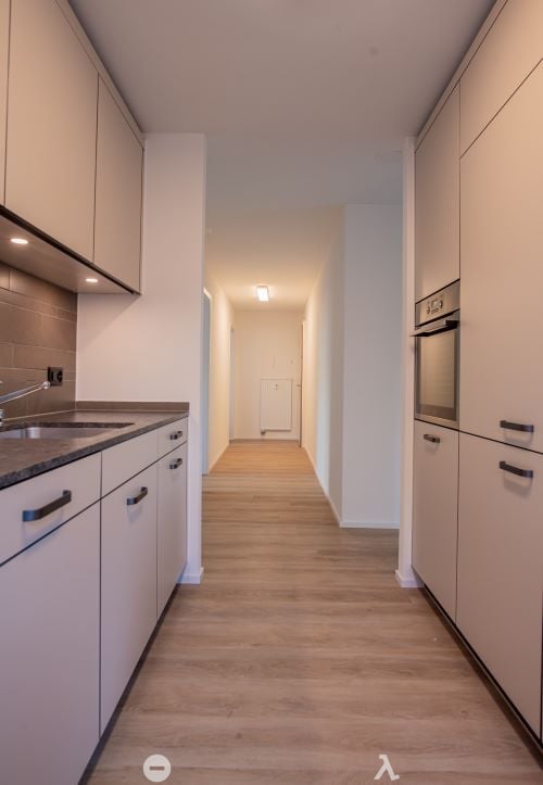 Sanierte Wohnung mit grosser Terrasse zu vermieten 2