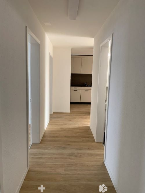 Sanierte Wohnung in Biel zu vermieten 5