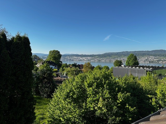 View of the city from the garden, trees, mountain, lake, buildings in the distance.