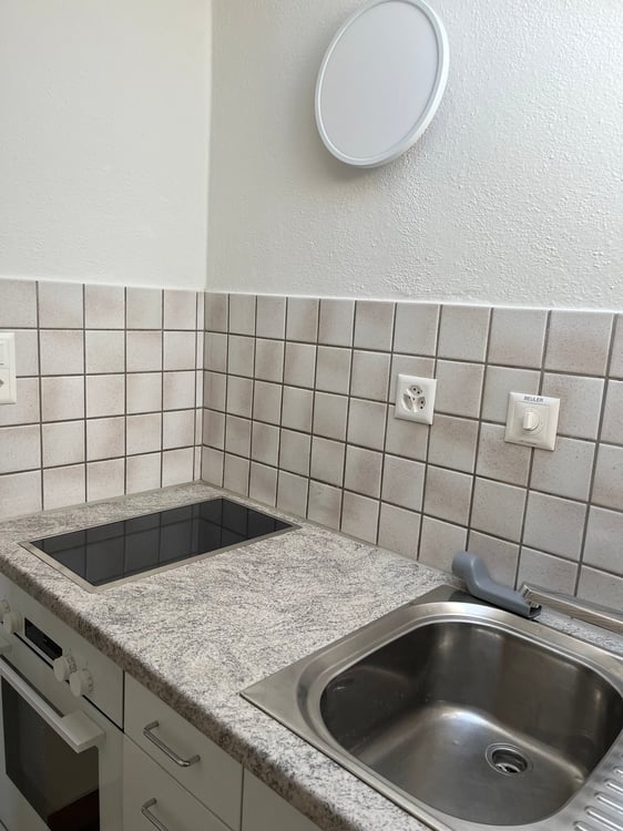 1.0-Zimmer-Dachwohnung im Grünen 2