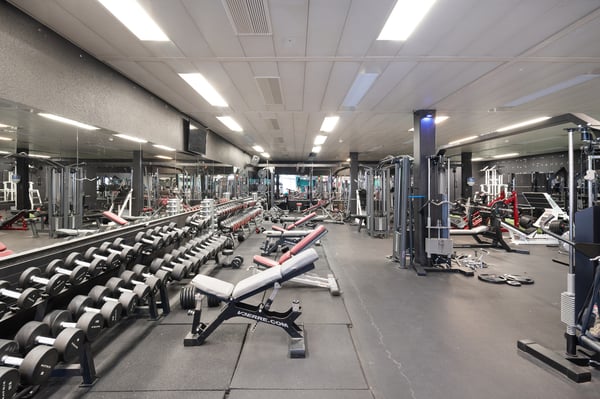 Gewerbefläche mit Tageslicht und vielen Möglichkeiten ca. 750 m²! 2