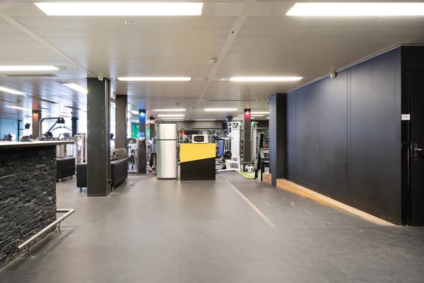 Gewerbefläche mit Tageslicht und vielen Möglichkeiten ca. 750 m²! 4