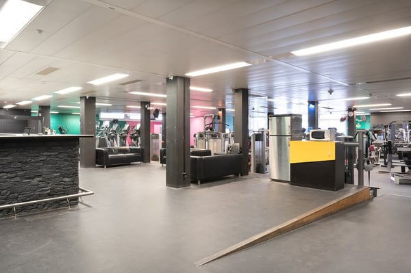 Gewerbefläche mit Tageslicht und vielen Möglichkeiten ca. 750 m²! 3