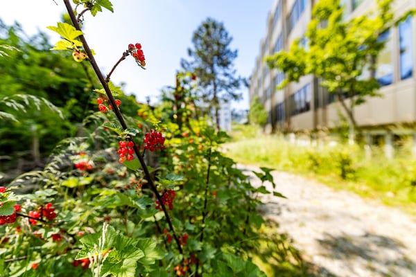 Siemens-Areal - die Extra Meile 13