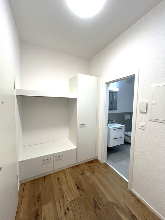 moderne 1.5-Zimmerwohnung in Stadtnähe 3