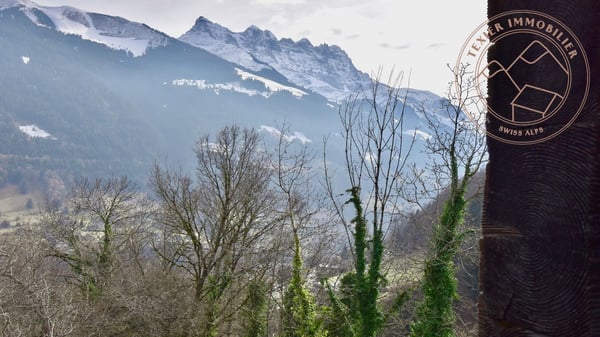 Chalet typique de la vallée d'Illiez 3