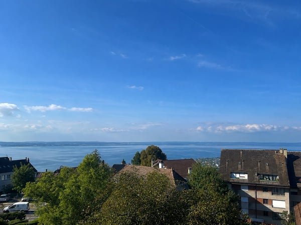 Appartement d'exception avec vue panoramique sur le lac ! 1