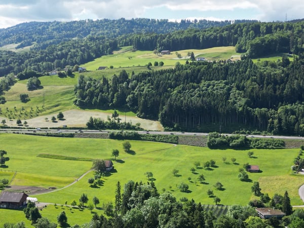 Exklusive Seesicht-Residenz in Pfäffikon SZ 5