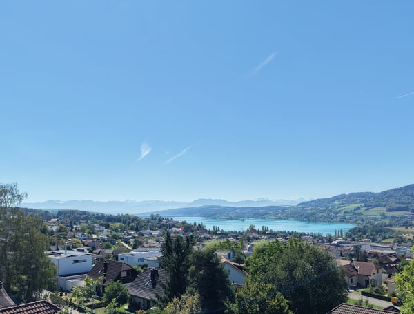 Lago Vista Seengen – Projektankündigung / Neubauprojekt am Hallwilersee 1