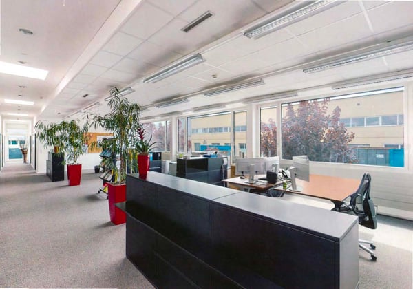 Modernes Büro- und Industriegebäude in Pfaffnau LU - Vielseitig nutzbar 2