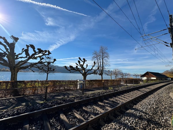 Charmantes Mehrfamilienhaus mit Seesicht in Schmerikon 4