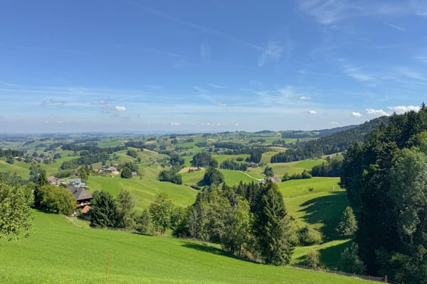 Stille, Weitblick, Geborgenheit - charmantes Refugium für Garten- und Naturliebhaber 16