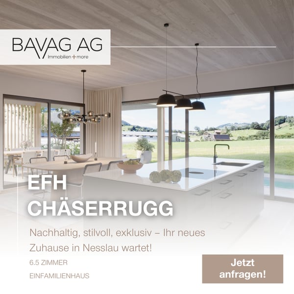 Über dem Nebel, grosszügiges Einfamilienhaus mit Umschwung und Schwimmbad 3