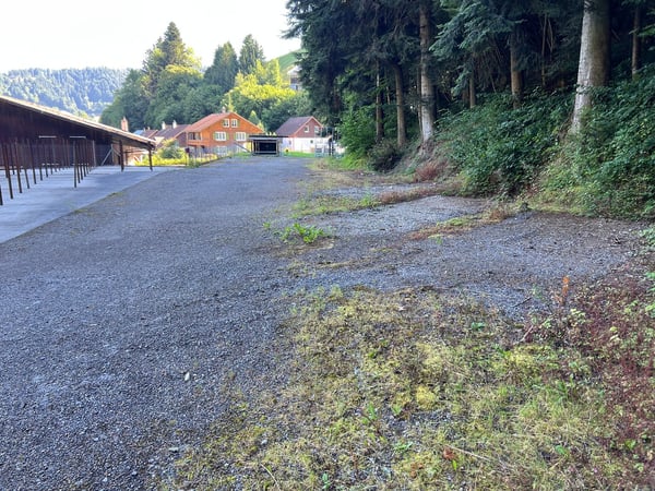 Vielseitige Industrieimmobilie in Zäziwil mit grossem Potenzial 12