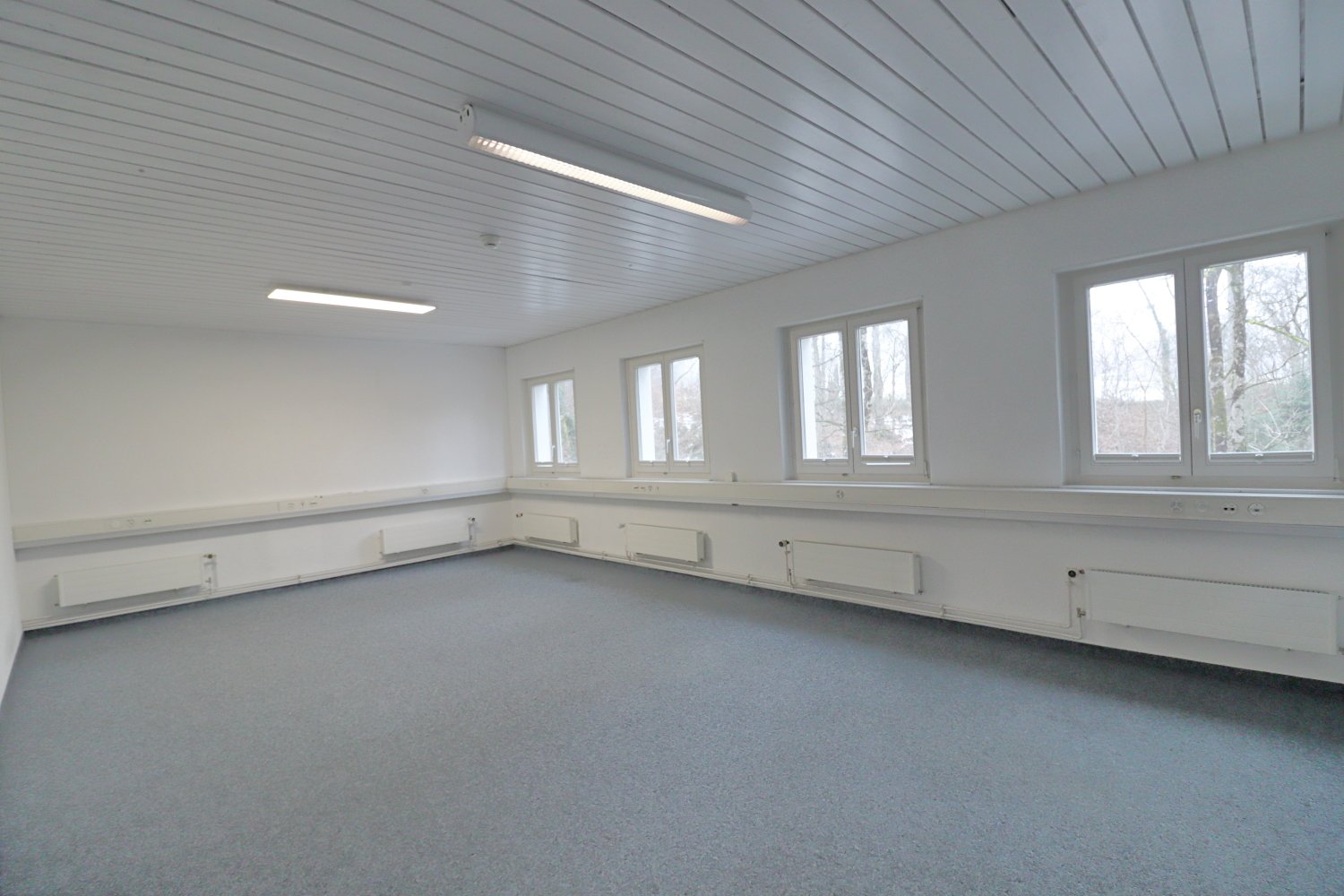 Empty room with white walls, ceiling and floor, six windows, heating radiators, ceiling lights