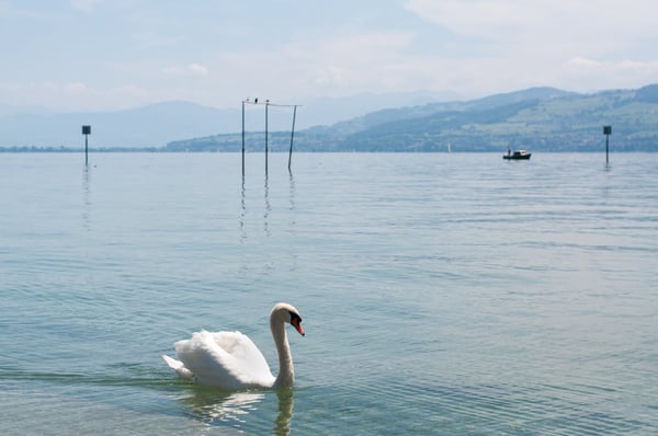 Eigentum statt Miete – Ihr neues Zuhause ab nur CHF 1'097.– im Monat 16