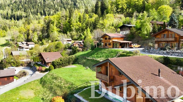 Chalet Plan Bochy, Mayens de Saxon 8