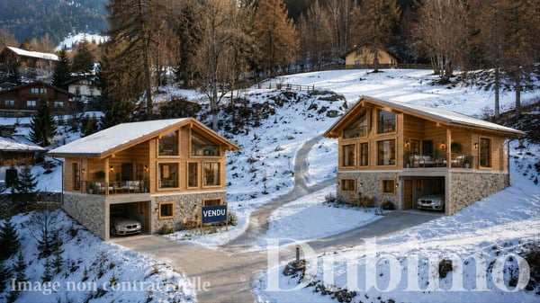 Chalet Plan Bochy, Mayens de Saxon 5