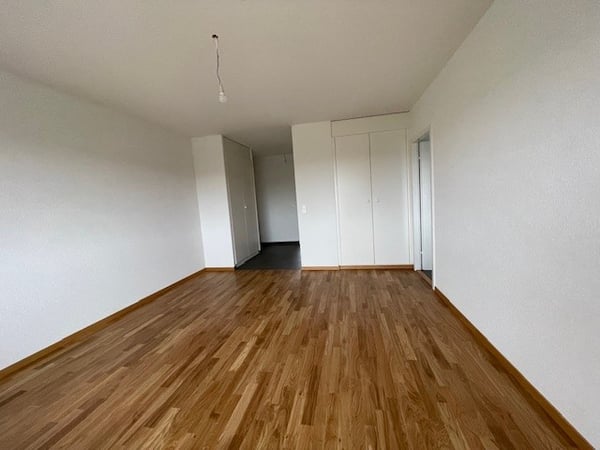 Appartement entièrement rénové de 1.5 pièces au 5ème étage, avec balcon. 2