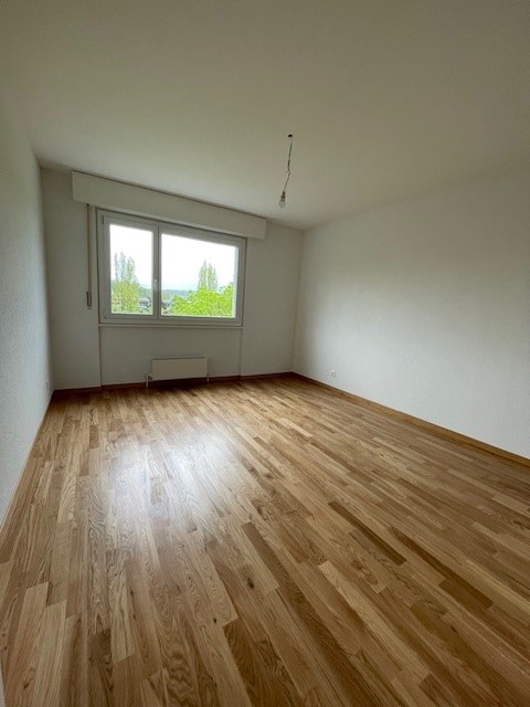 Appartement entièrement rénové de 1.5 pièces au 5ème étage, avec balcon. 5