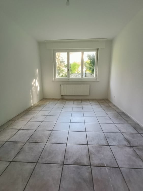 1ER LOYER NET OFFERT Appartement 1½ pièces au rez 6