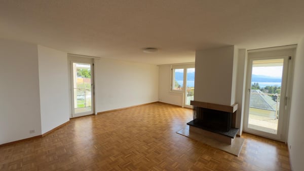 Superbe appartement de 1.5 pièces avec belle vue lac 3