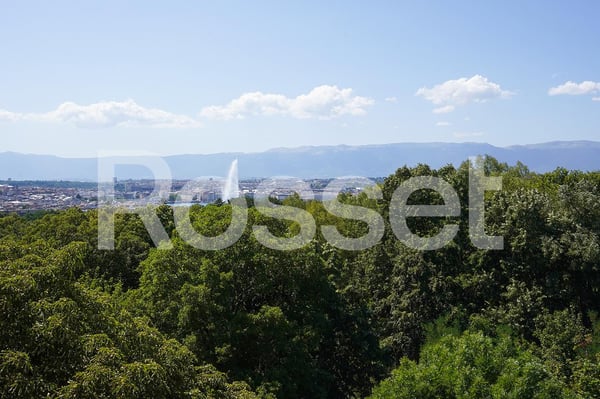 Attique de 8 pièces en pignon avec terrasse périphérique et vue dégagée sur ville et lac 1