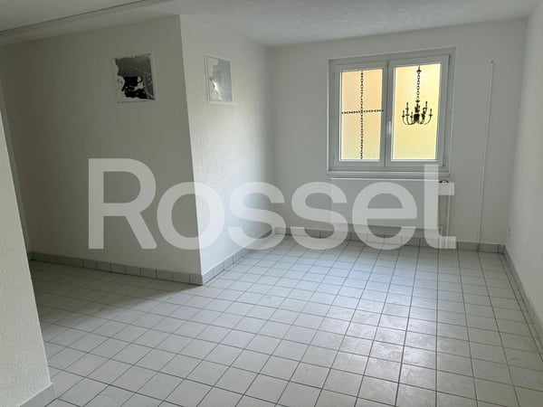 Local d'env. 18 m² 3