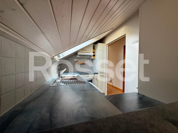 Magnifique appartement de 3.5 pièces avec vue panoramique sur le lac 2