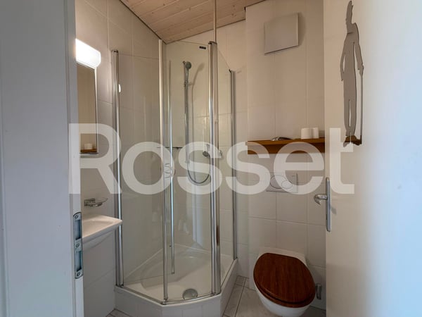 Magnifique appartement de 3.5 pièces avec vue panoramique sur le lac 9