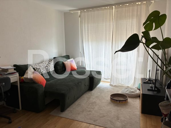 Appartement de 1.5 pièces au 11ème étage 3