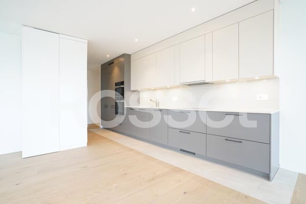 Rare à la location, lumineux appartement au coeur de la ville 2