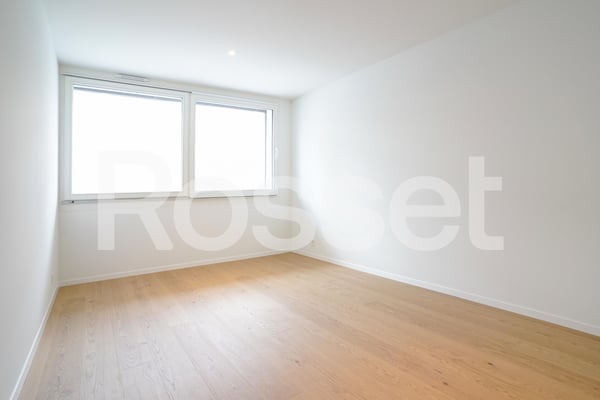 Rare à la location, lumineux appartement au coeur de la ville 5