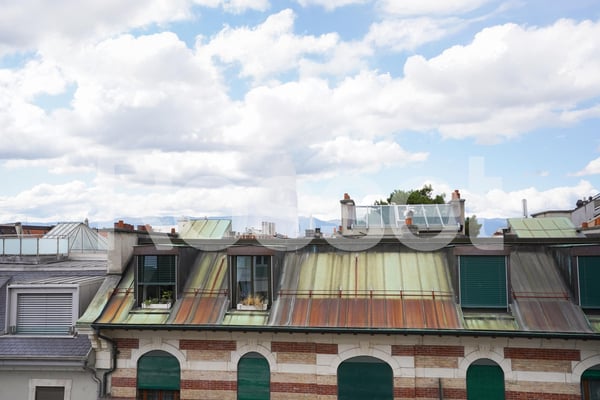 Rare à la location, lumineux appartement au coeur de la ville 7