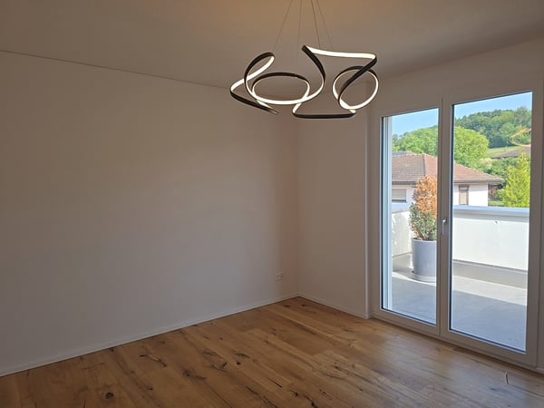 5½-Zimmer-Attikawohnung mit 152 m² Terrasse, direktem Liftzugang und Whirlpool 15