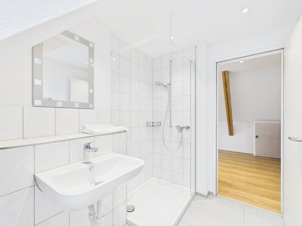 CHARMANTE 2.5-ZIMMER-DACHWOHNUNG MIT LOFTCHARAKTER 8