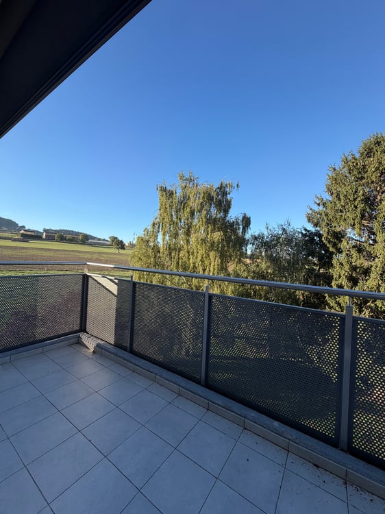 Joli appartement de 2½ pièces avec balcon 10