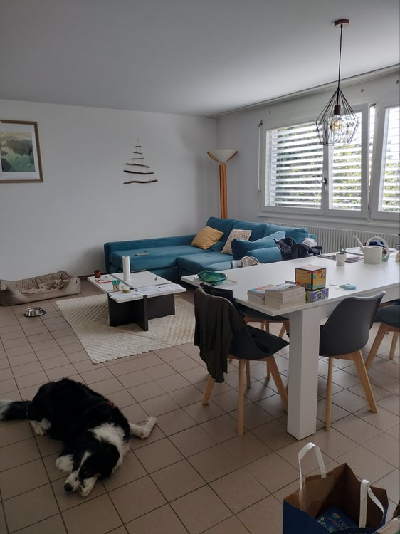 Villa contiguë duplex de 4½ pièces avec terrasse 3
