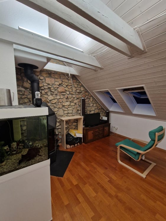 Appartement 2 pièces, 60m2, style loft 4