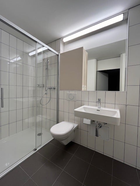 kürzlich sanierte 1.5-Zimmerwohnung mit toller Aussicht zu vermieten! 2