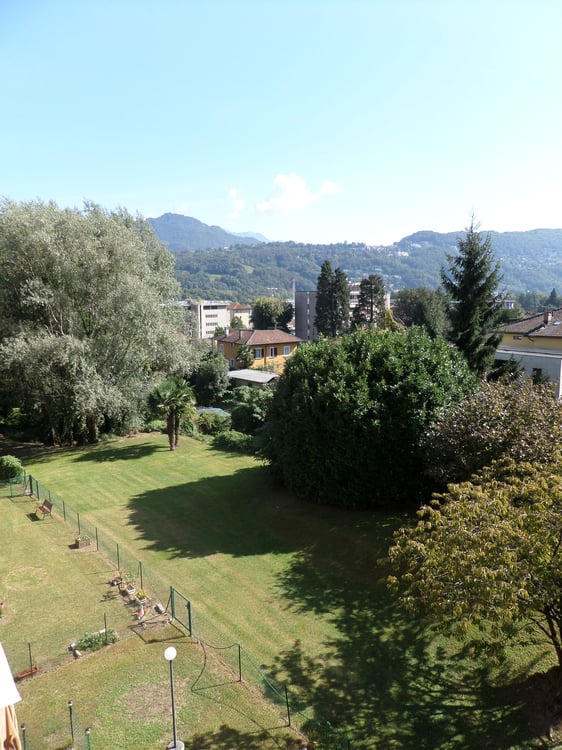 Appartamento 3.5 locali con giardino in zona verde e tranquilla 2